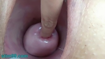 Asian Babe'S Extreme Bdsm Insertion Fetish With Nettles And Rods