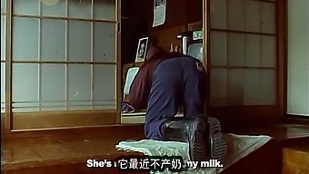 Noriko Sakai: A Lone Cow'S Tears At Sunrise