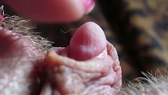 Intense Close-Up Of My Sizable Clit Gliding And Throbbing