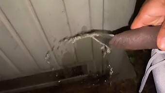 Flashing And Peeing In Public: A Man'S Offer To A Woman