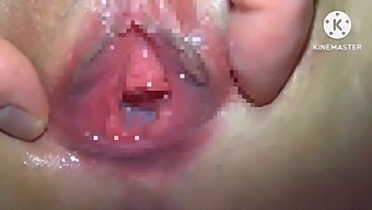 Intimate Homemade Japanese Creampie With Pov